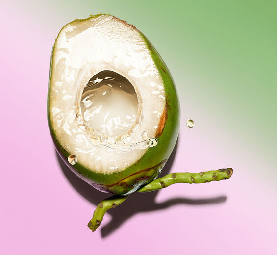 Cocotier-Eau de coco bio-Cocos nucifera (coconut) fruit juice