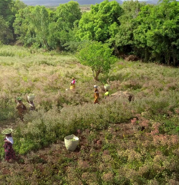 Visuel lieux de travail respectueux